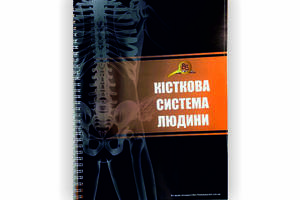 Методическое пособие Vivay Костная система человека А4 27 стр Разноцветный