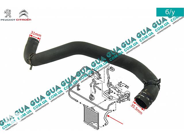 Патрубок / шланг системы охлаждения ( трубка от радиатора к расширительному бачку ) 1351AF Citroen / СИТРОЭН XSARA PI...