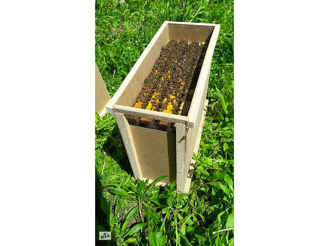 Пчелопакеты с доставкой Карпатка , пчелопакеты 2021