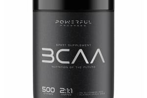 Аминокислота BCAA для спорта Powerful Progress BCAA 2:1:1 + Glutamine 500 g /50 servings/ Apple