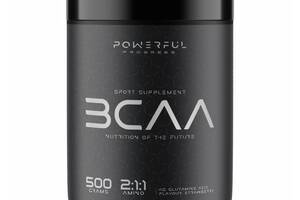 Аминокислота BCAA для спорта Powerful Progress BCAA 2:1:1 + Glutamine 500 g /50 servings/ Strawberry