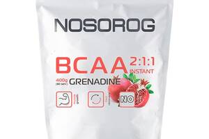 Аминокислоты Nosorog Nutrition BCAA 2:1:1 400 гр Гранат