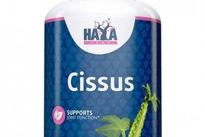 Антиоксидант Haya Labs Cissus 500 mg 100 Caps