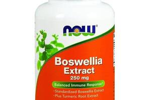 Экстракт босвеллии NOW Foods Boswellia Extract 250 mg 120 Veg Caps