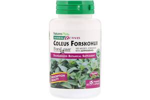 Экстракт для похудения Nature's Plus Herbal Actives Coleus Forskohlii 125 mg 60 Veg Caps NAP-07170