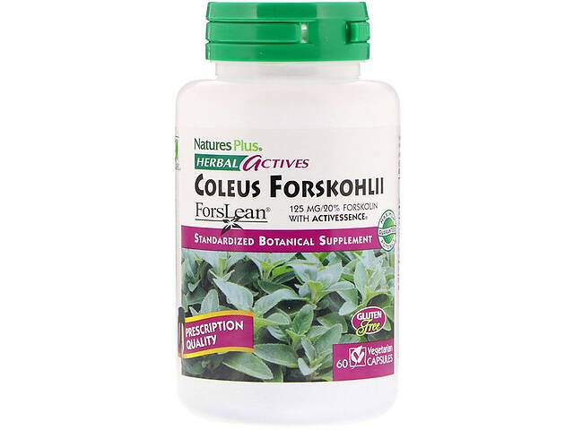 Экстракт для похудения Nature's Plus Herbal Actives Coleus Forskohlii 125 mg 60 Veg Caps NAP-07170