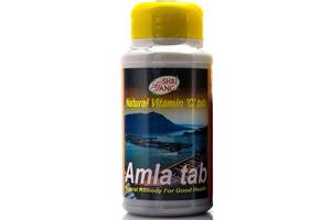 Экстракты для повышения иммунитета Shri Ganga Amla 200 Tabs