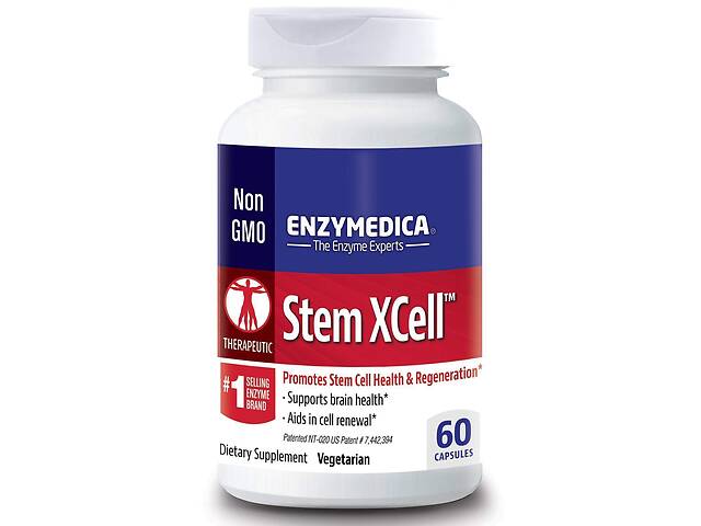 Ферменты для мозга Stem XCell Enzymedica 60 капсул