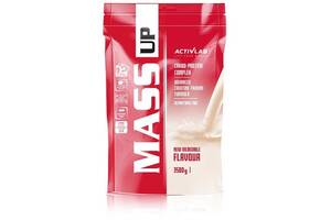 Гейнер Activlab Mass UP 3500 g /35 servings/ Coffee