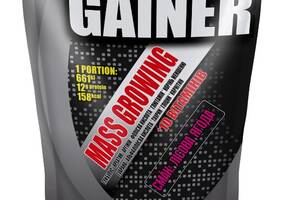 Гейнер Power Pro Gainer 1000 g /25 servings/ Лесная ягода