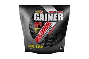 Гейнер Power Pro Gainer 4000 g /100 servings/ Банан