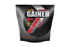 Гейнер Power Pro Gainer 4000 g /100 servings/ Шоколад