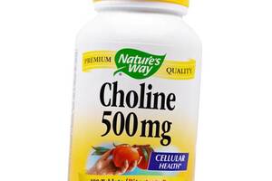 Холін Choline 500 Nature's Way 100таб (36344007)