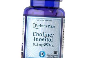 Холин и Инозитол Choline Bitartrate Inositol Puritan's Pride 100каплет (36367249)