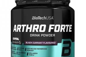 Хондропротектор для спорта BioTechUSA Arthro Forte 340 g /20 servings/ Black Currant