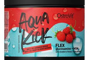Хондропротектор для спорта OstroVit Aqua Kick Flex 300 g /30 servings/ Strawberry