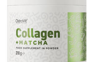 Хондропротектор для спорта OstroVit Collagen + Matcha 210 g /60 servings/ Unflavored