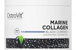Хондропротектор для спорта OstroVit Marine Collagen 200 g /74 servings/ Black Currant