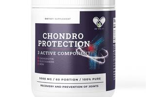 Хондропротекторы комплекс En`vie Lab Chondro Protection 3 ACTIVE 60 порций клубника