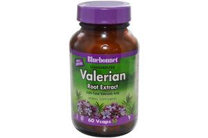 Комплекс для профилактики нервной системы Bluebonnet Nutrition Valerian Root Extract 60 Veg Caps