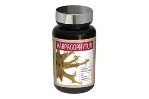 Комплекс для профилактики работы печени NUTRIEXPERT HARPAGOPHYTUM 60 Caps