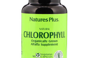 Комплекс для пищеварения Nature's Plus Natural Chlorophyll 90 Veg Caps NTP1080