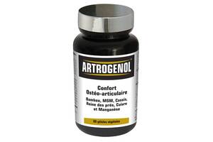 Комплекс для суставов NUTRIEXPERT ARTROGENOL 60 Caps