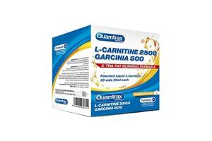 Комплексный жиросжигатель Quamtrax L-Carnitine 2500 Garcinia 500 20 х 25 ml Orange