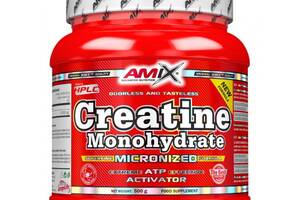 Креатин Amix Nutrition Creatine monohydrate 500 g