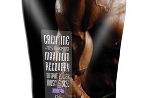 Креатин комплекс Power Pro Creatine 500 g /50 servings/ Мохито