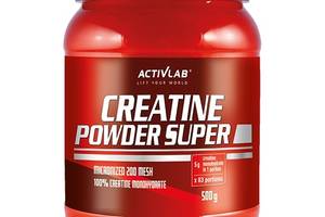 Креатин моногидрат Activlab Creatine Powder Super 500 g /83 servings/ Candy Ice Cream