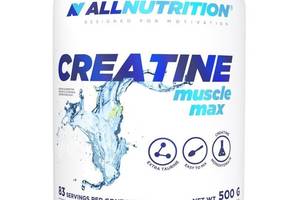 Креатин моногидрат All Nutrition Creatine Muscle Max 500 g /166 servings/ Pitaya