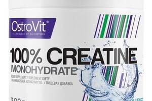 Креатин моногидрат OstroVit Creatine Monohydrate 300 g /120 servings/ Pure