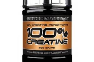 Креатин моногидрат Scitec Nutrition 100% Creatine Monohydrate 300 g /60 servings/ Unflavored