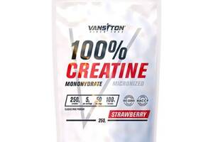 Креатин моногидрат Vansiton Creatine Monohydrate 250 g Клубника