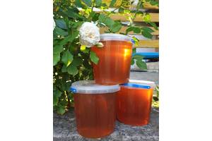 Лісовий та гречаний мед з власної пасіки