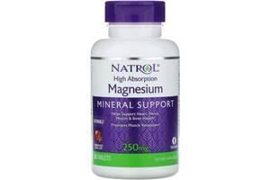 Микроэлемент Магний Natrol High Absorption Magnesium 250 mg 60 Tabs Apple Natural Flavor NTL-07066