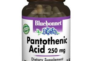 Пантотеновая кислота Bluebonnet Nutrition Pantothenic Acid (B5) 250 mg 60 Veg Caps BLB0468