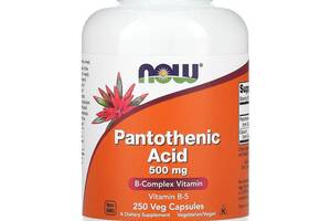 Пантотеновая кислота Pantothenic Acid Now Foods 500 мг 250 растительных капсул