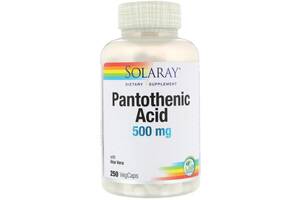 Пантотеновая кислота, Pantothenic Acid, Solaray, 500 мг, 250 растительных капсул