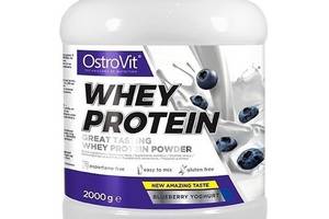 Протеин OstroVit Whey Protein 2000 g /66 servings/ Blueberry Joghurt