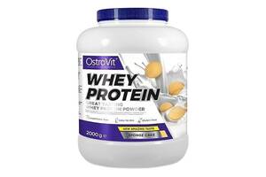 Протеин OstroVit Whey Protein 2000 g /66 servings/ Sponge Cake