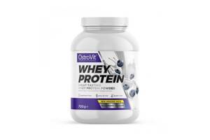 Протеин OstroVit Whey Protein 700 g /23 servings/ Blueberry