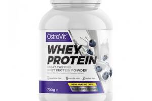 Протеин OstroVit Whey Protein 700 g /23 servings/ Blueberry