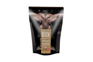 Протеин Power Pro Protein Mix 1000 g /25 servings/ Медовое печенье