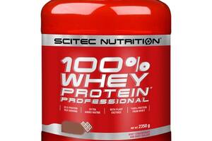 Протеин Scitec Nutrition 100% Whey Protein Professional 2350 g /78 servings/ Ice Coffee