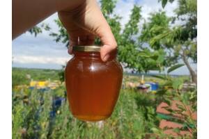 Свіжий травневий мед 2023, смачний корисний, акація, різнотрав'я