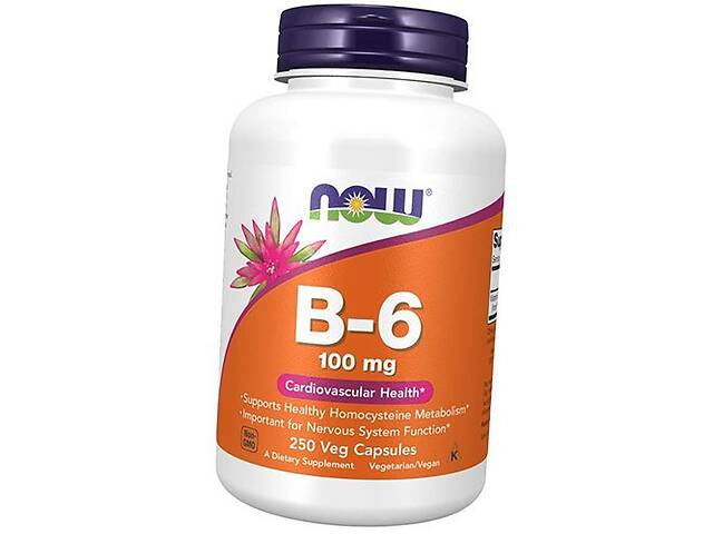 Витамин В6 (Пиридоксин) Vitamin B-6 100 Caps Now Foods 250вегкапс (36128361)