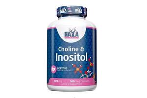 Инозитол Haya Labs CHOLINE & INOSITOL 100 Veg Caps