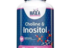 Инозитол Haya Labs CHOLINE & INOSITOL 100 Veg Caps